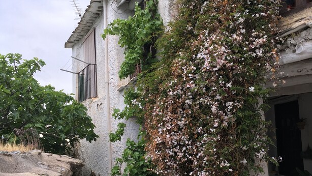 Un edificio con fachada de piedra, un pequeño balcón con barandilla metálica y un jardín con plantas en flor.