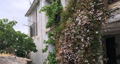 Alpujarras. 500 Year Old Stone House In Whitewashed Hamlet. A Walkersâ Heaven!