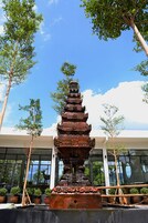 Servicio de la propiedad