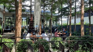 Un espace de restauration en plein air, avec des tables et des chaises, entouré d’arbres et agrémenté d’un élément décoratif aquatique.