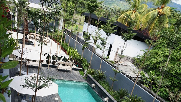 Un espace piscine aménagé sur le toit, avec des chaises longues et des parasols, entouré de verdure et offrant une vue sur la ville.