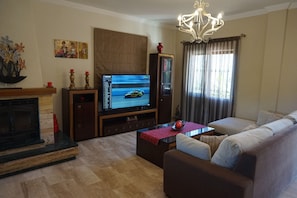 Smart TV, fireplace, video games, Netflix