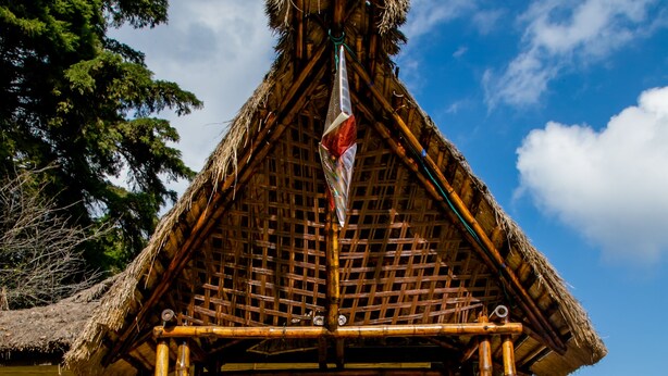 Une construction traditionnelle à toit de chaume, dotée d’une porte en bois et agrémentée de plantes en pot.