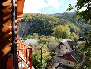 View from room - Hotel Sofia (Yaremche)