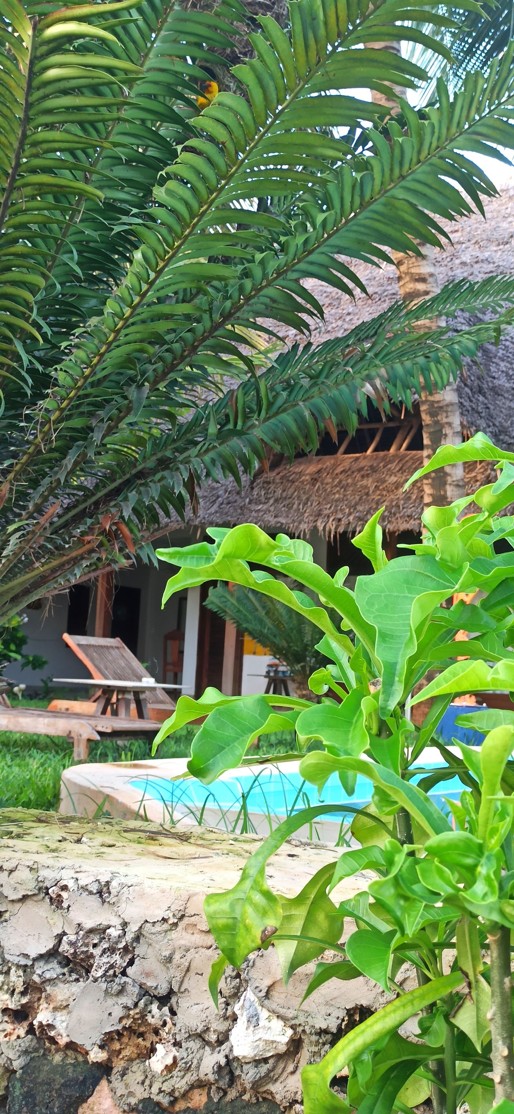 Deluxe Double Room, 1 Queen Bed | Terrace/patio