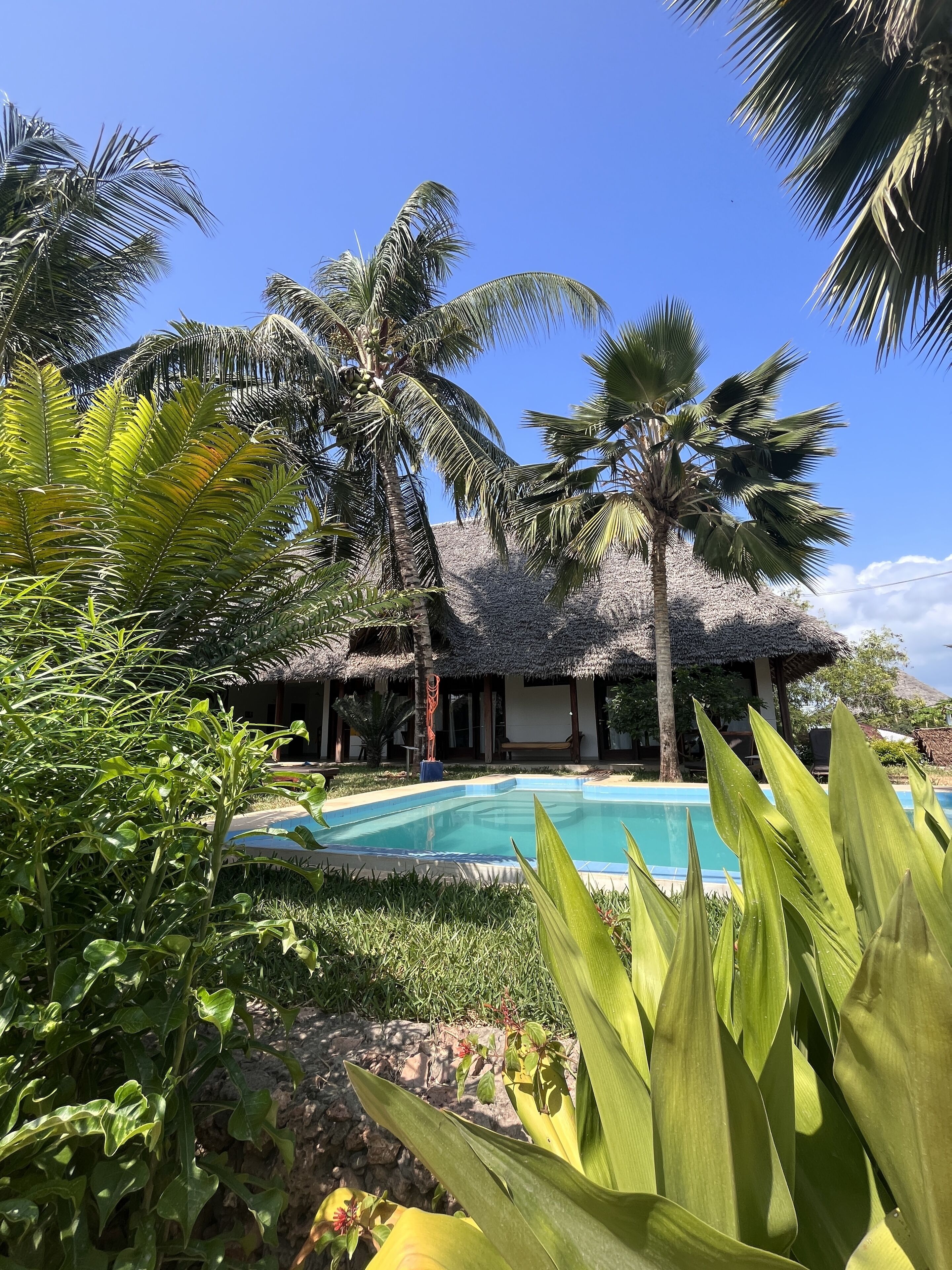 Villa Deluxe, plusieurs lits | Piscine extérieure