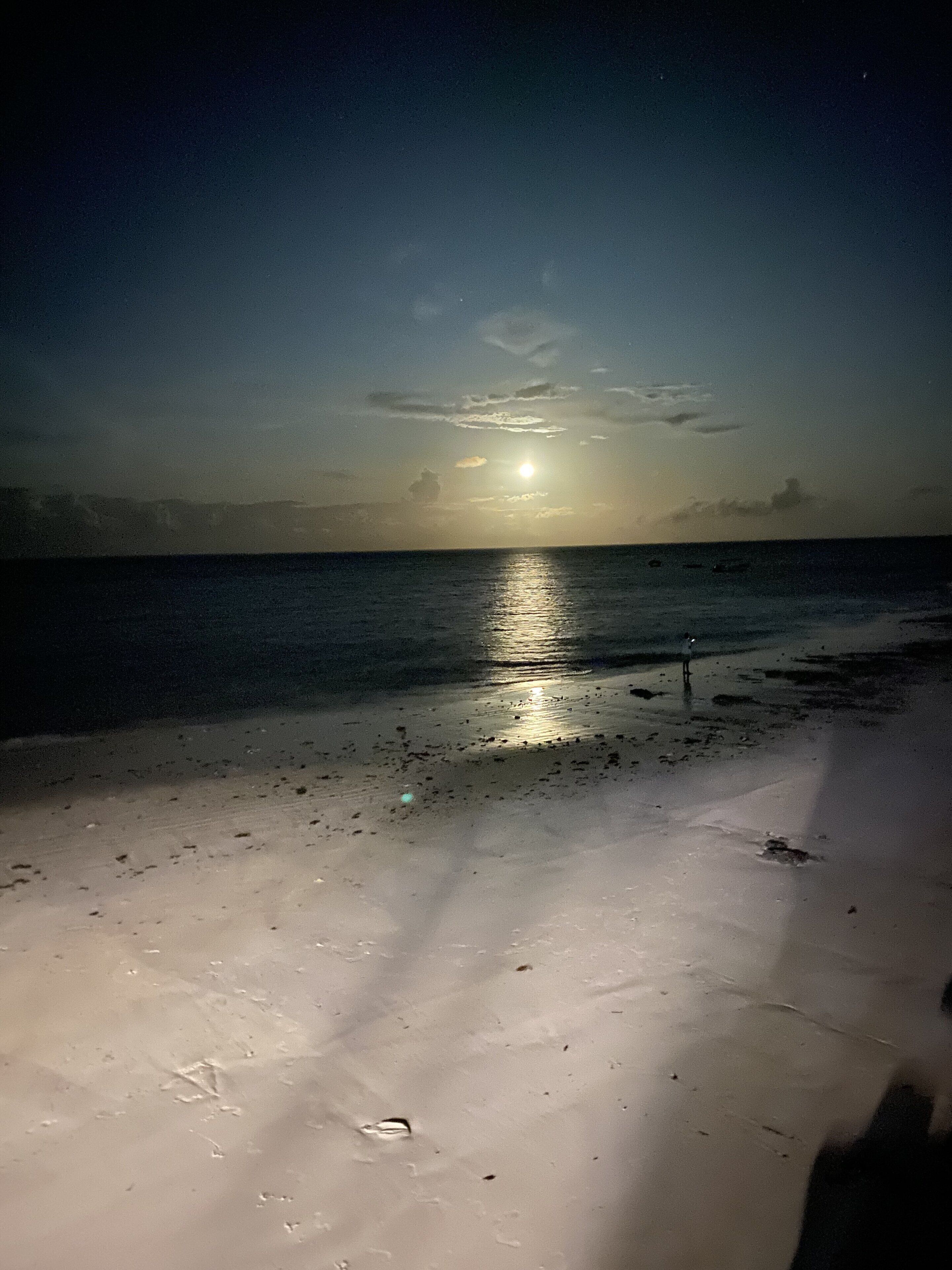 Una playa de noche con el reflejo de la luna visible en el agua.