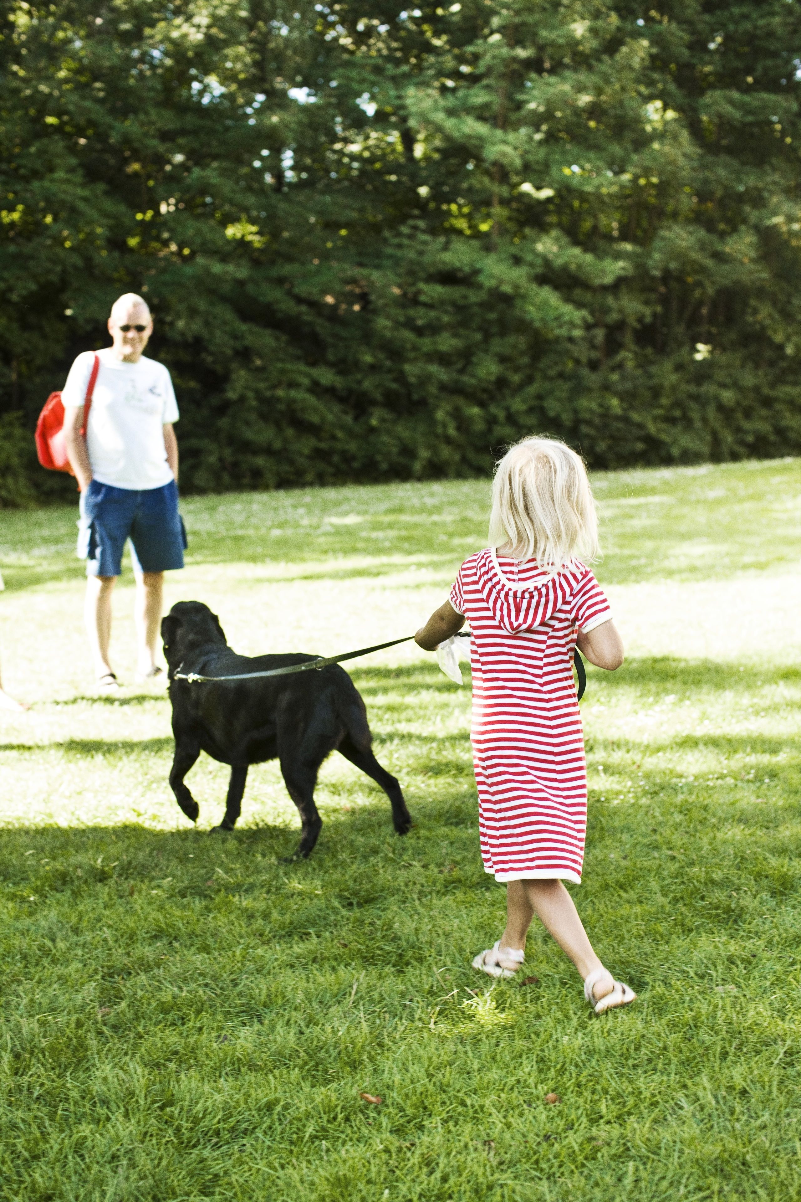 A person walking a dog on a leash in a grassy area with trees in the background.