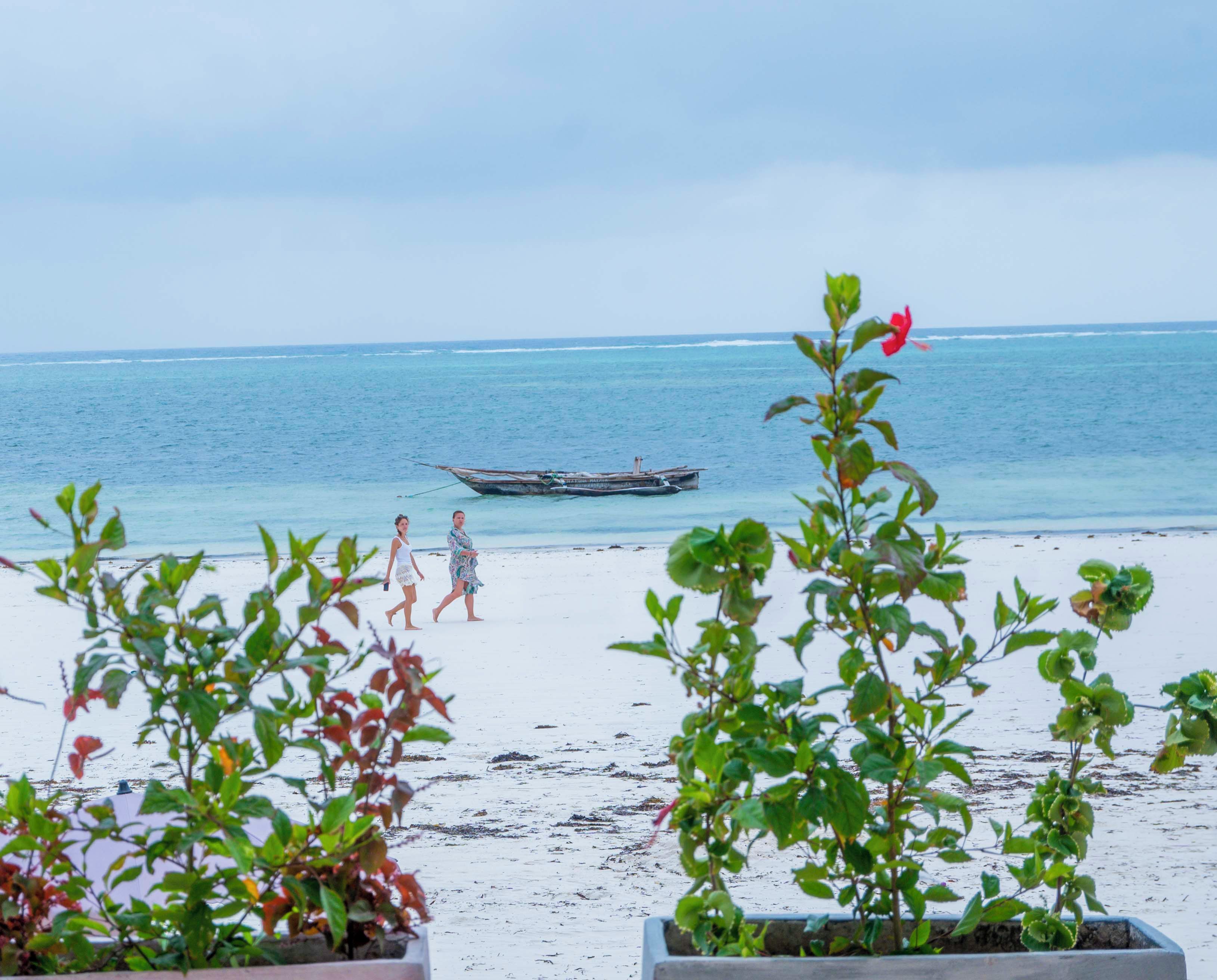 A beach with a boat in the water, two people walking, and potted plants in the foreground.
