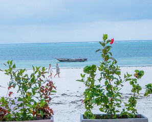 A beach with a boat in the water, two people walking, and potted plants in the foreground. - Sky & Sand Zanzibar (Matemwe)