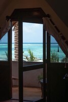 Double Ocean View | View from room