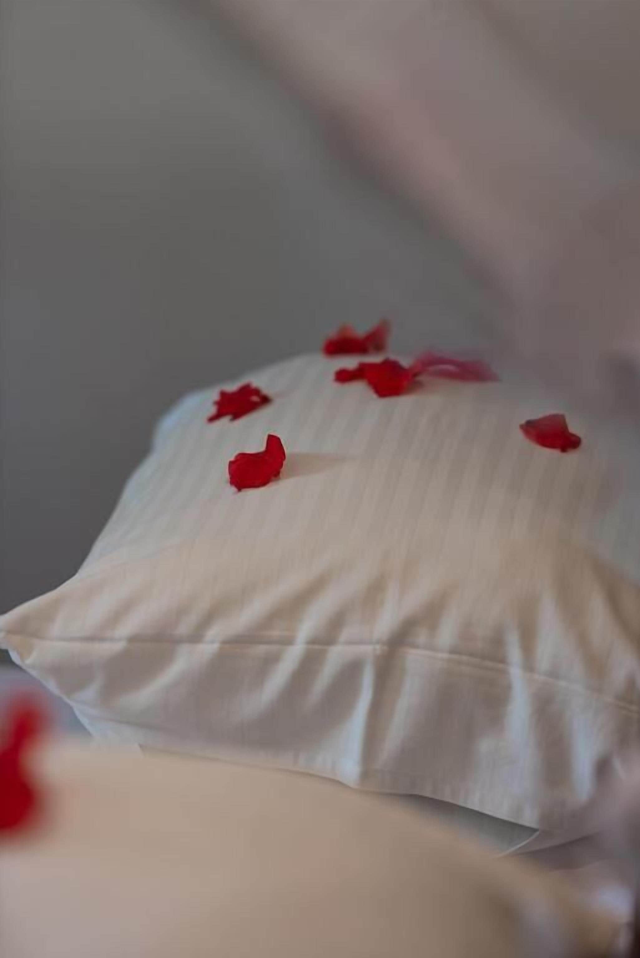 Ein Kissen mit roten Rosenblättern.