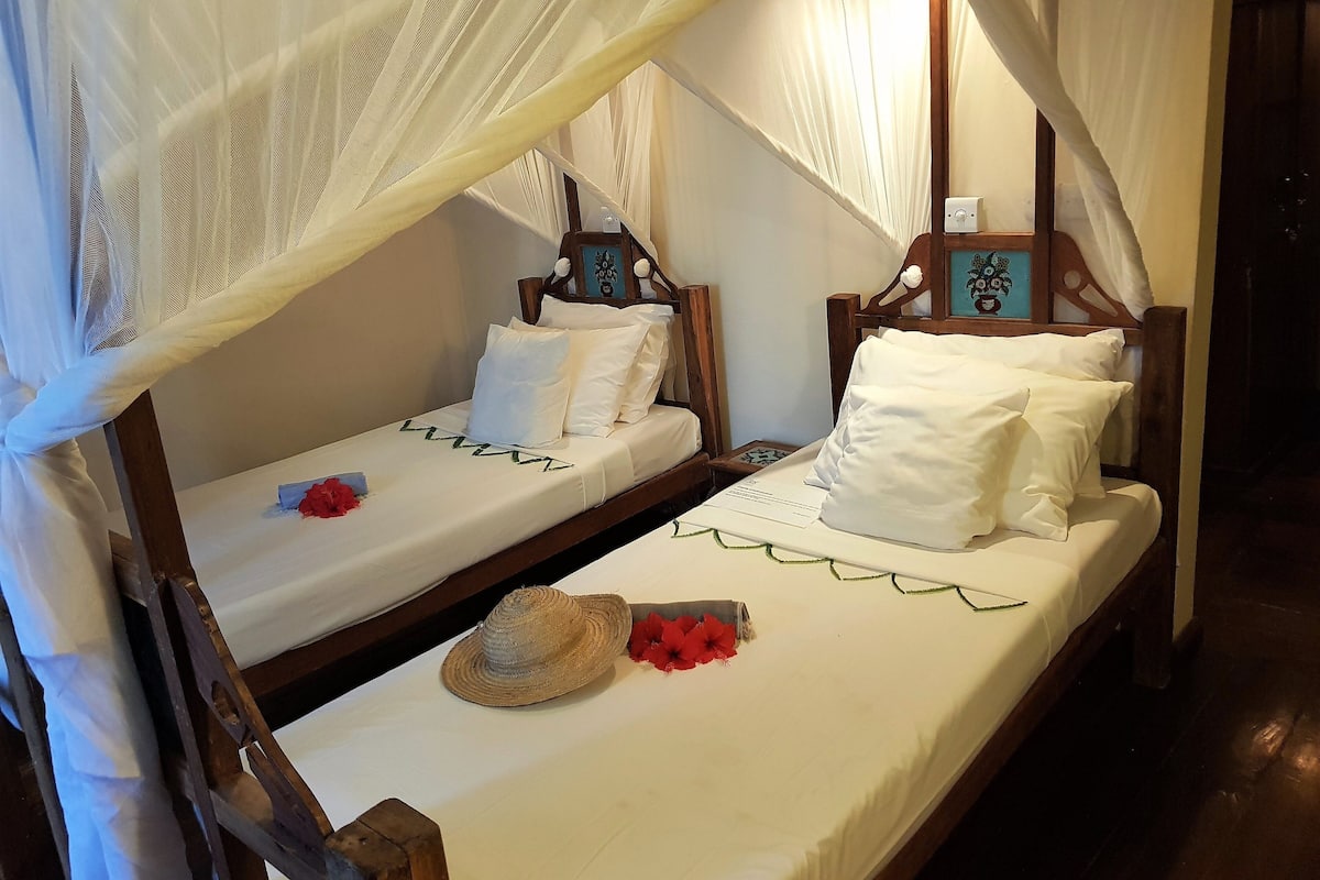 A room with two single beds, each with a wooden headboard, white bedding, and a mosquito net.