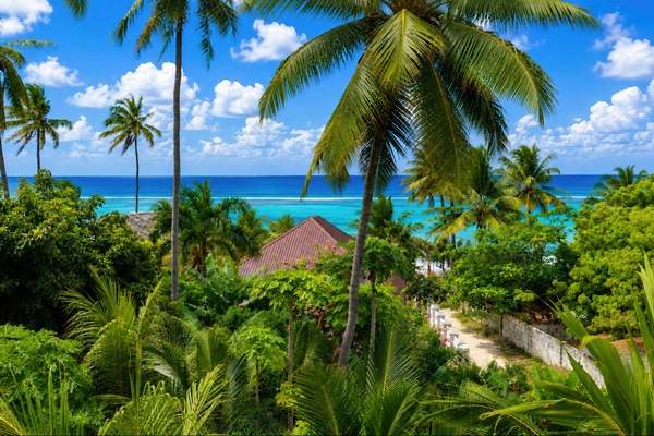 Zoi Beach Luxury Villa | Terrasse/patio
