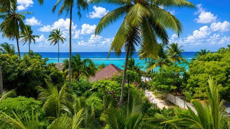 Zoi Beach Luxury Villa | Terrace/patio