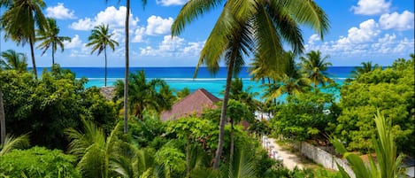Zoi Beach Luxury Villa | Terrasse/patio