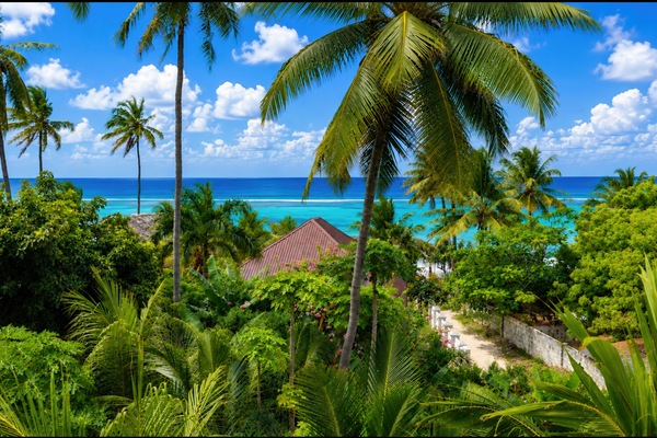 Zoi Beach Luxury Villa | Terrasse/Patio
