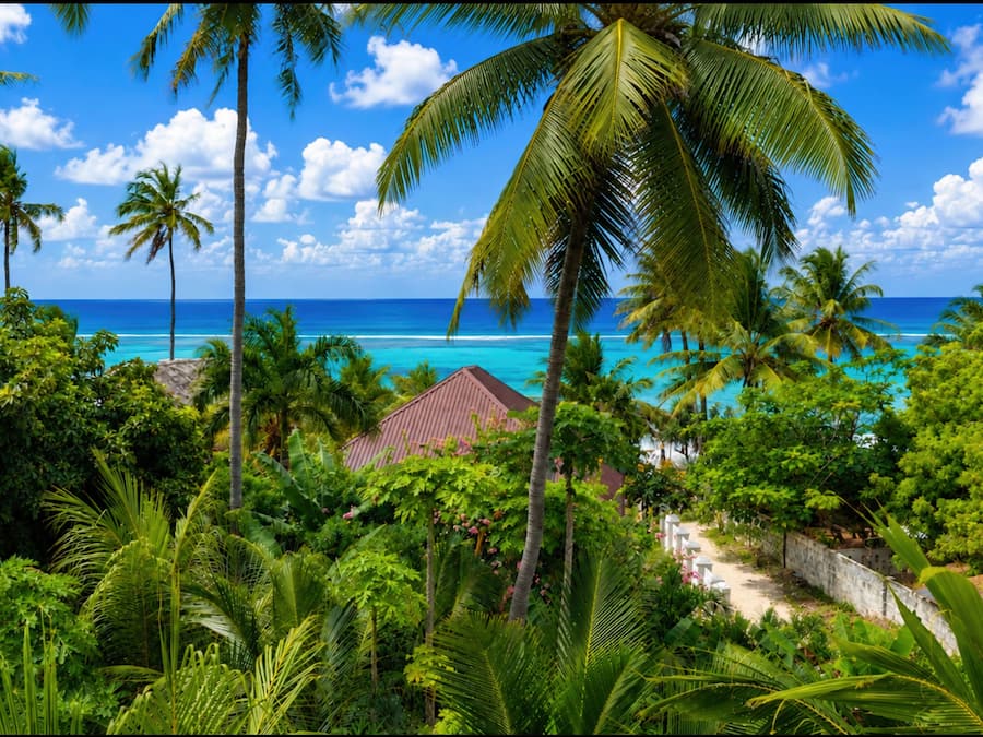 Zoi Beach Luxury Villa | Terrace/patio