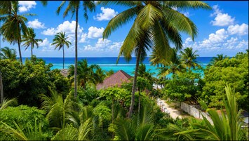 Zoi Beach Luxury Villa | Terraço/pátio