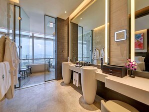 Combined shower/tub, free toiletries, hair dryer, bathrobes