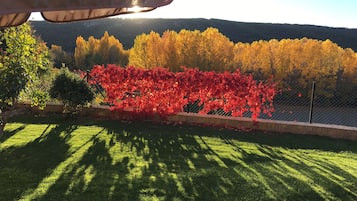 Vista des de l'allotjament