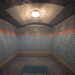Sauna, steam room, Turkish bath/hammam, body treatments, facials