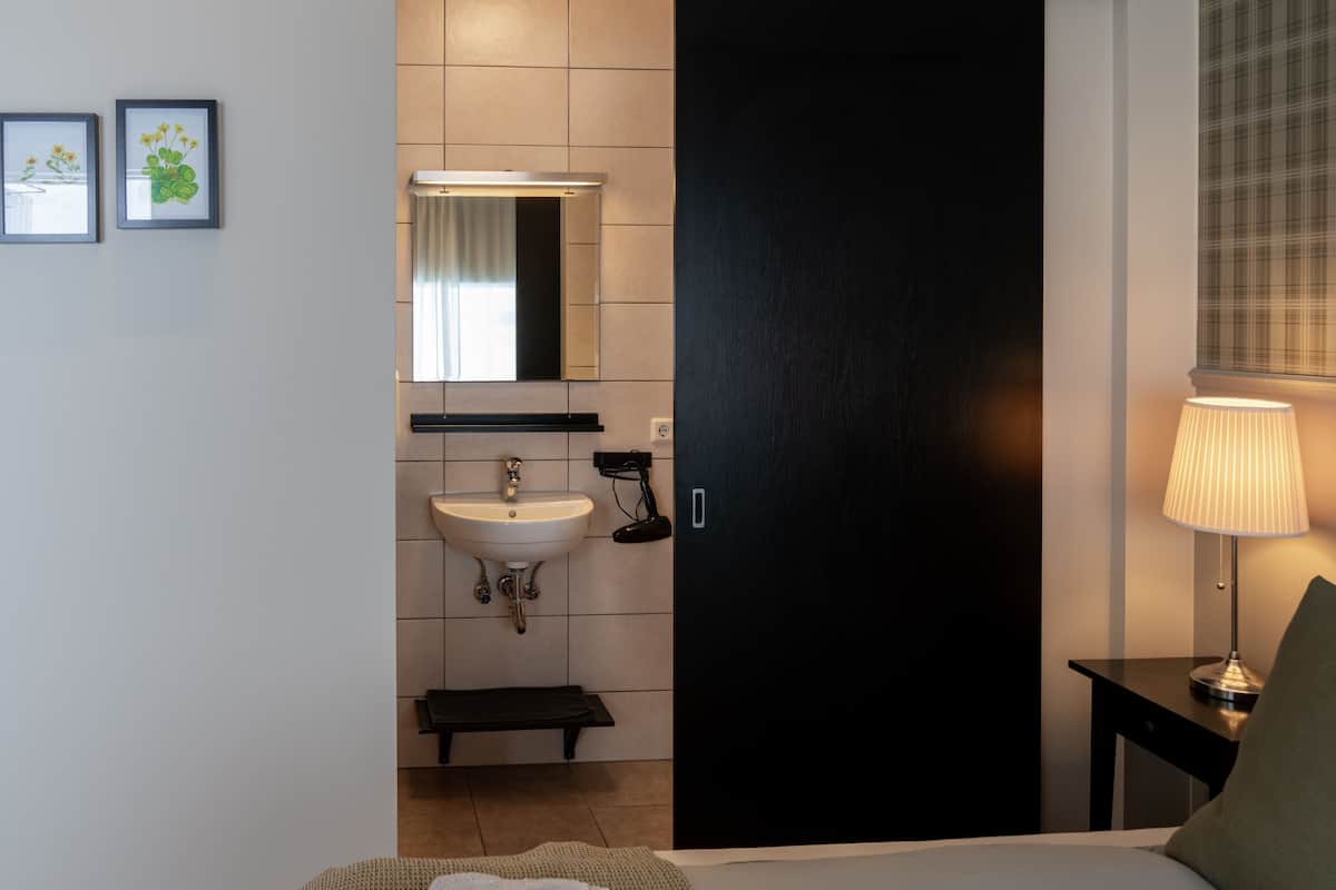 double or twin room | bathroom | shower, free toiletries, hair dryer, towels