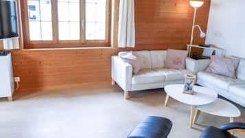 TV, fireplace, DVD player