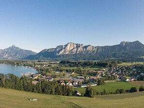 Unclassified image, 4 of 7, button