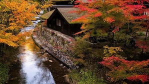Edificio japonés tradicional con techo de paja, rodeado de follaje otoñal y un arroyo.