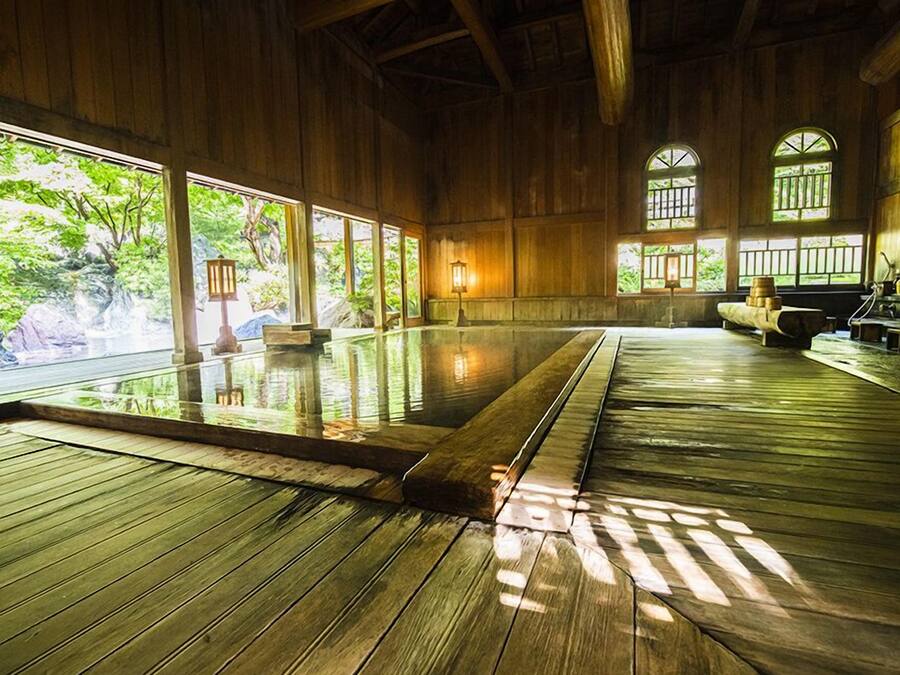 Wellness