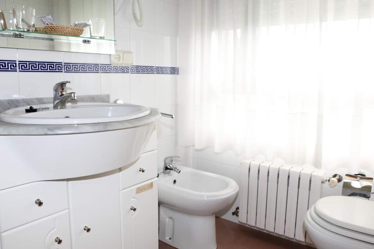 combined shower/bathtub, free toiletries, hair dryer, bidet
