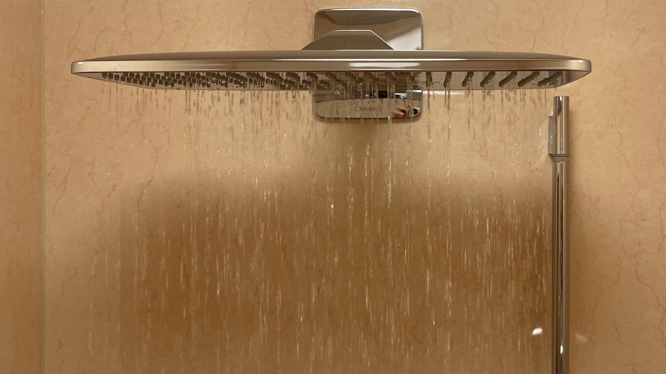 Una ducha con un rociador de lluvia, un panel de control y un cabezal de ducha manual.