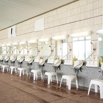 A row of sinks with mirrors and soap dispensers, each with a stool in front.