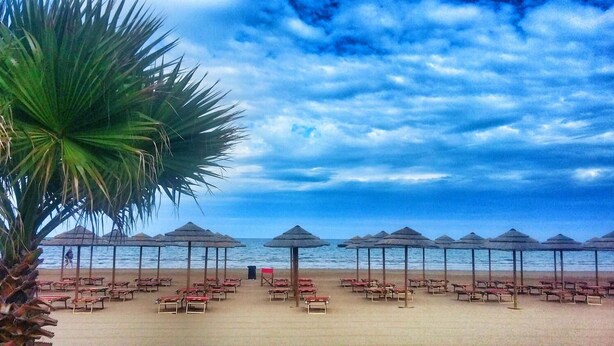 A beach with rows of sun loungers and thatched umbrellas, a palm tree, and a clear view of the ocean. - Residence Rendez Vous (Vieste)