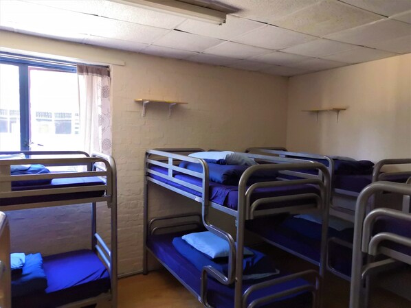Dormitorio compartido, 1 cama individual | Wifi gratis