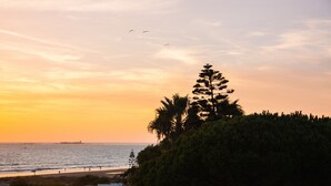 A beach scene with a clear sky, a few birds flying, and a tree in the foreground.