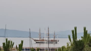 Dobbeltrom – standard | Terrasse/patio