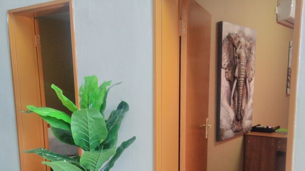 A hallway with a potted plant, wooden doors, and a wall-mounted artwork.