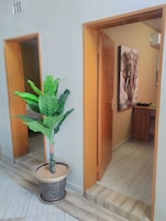 Un pasillo con planta en maceta, puertas de madera y una obra de arte colgada en la pared.