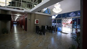 Interior entrance - Hotel Okriba Tbilisi (Tbilisi)