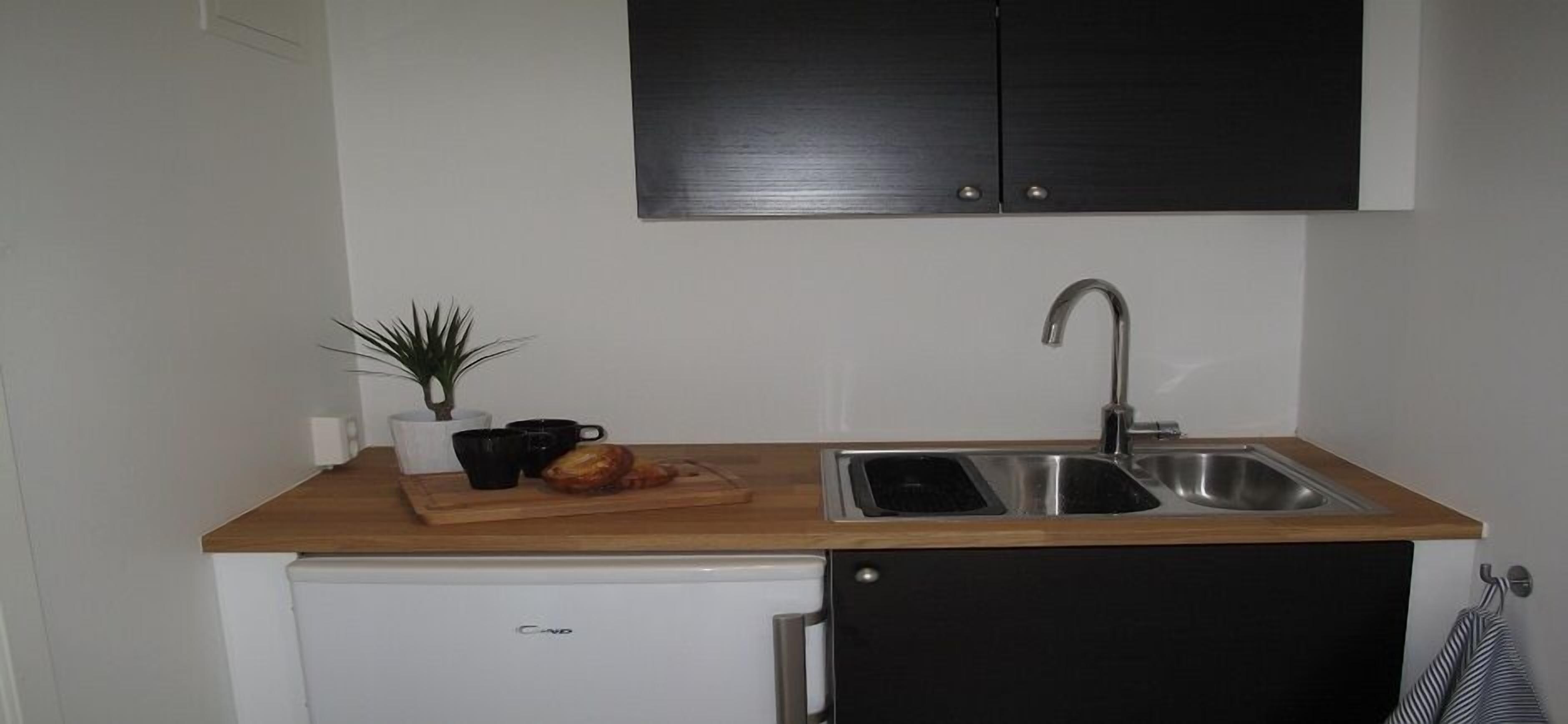 Uma cozinha compacta com bancada de madeira, pia, um refrigerador pequeno e um vaso com planta.