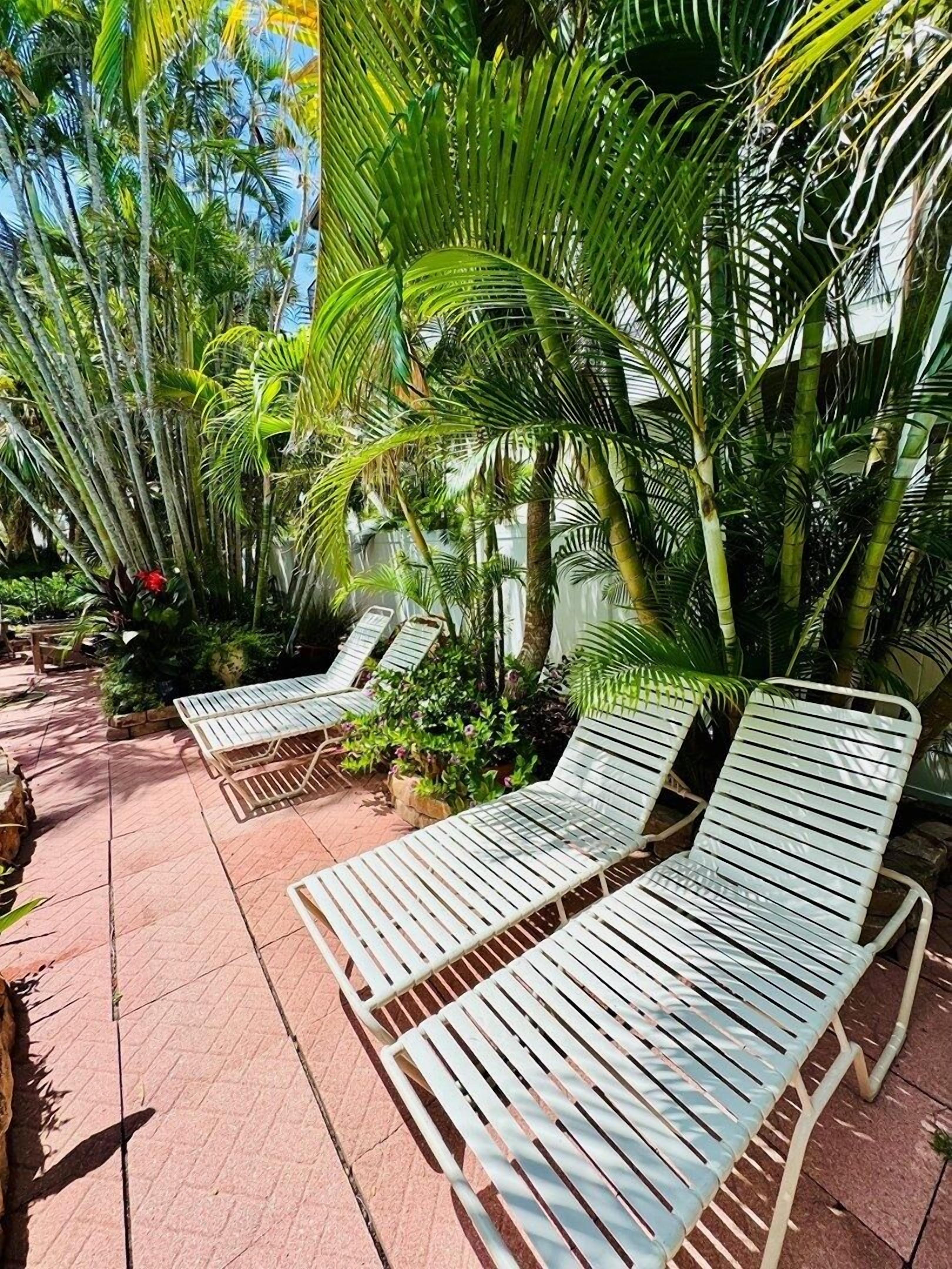 Un patio con dos sillones blancos de metal, rodeado de exuberante follaje tropical y un piso de baldosas.