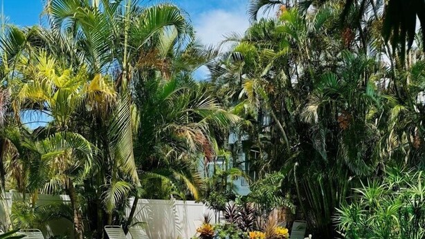 Une piscine entourée d’une végétation luxuriante et de palmiers.