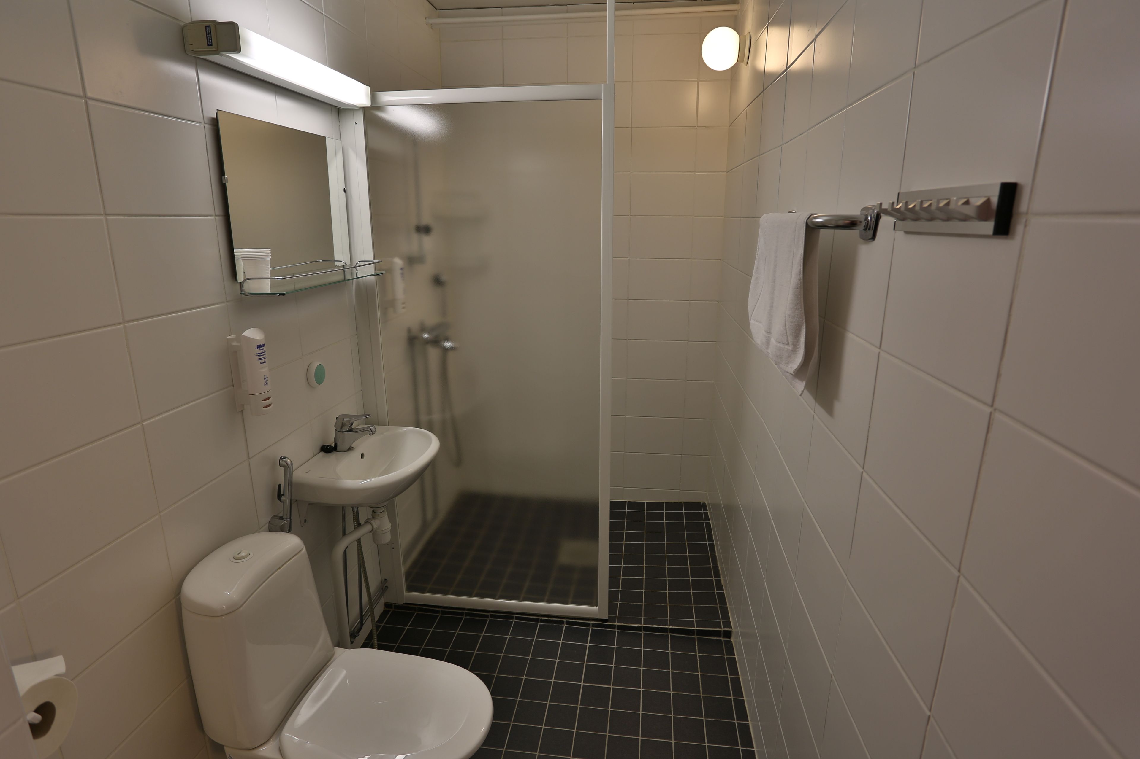 Habitación estándar | Baño | Ducha y toallas