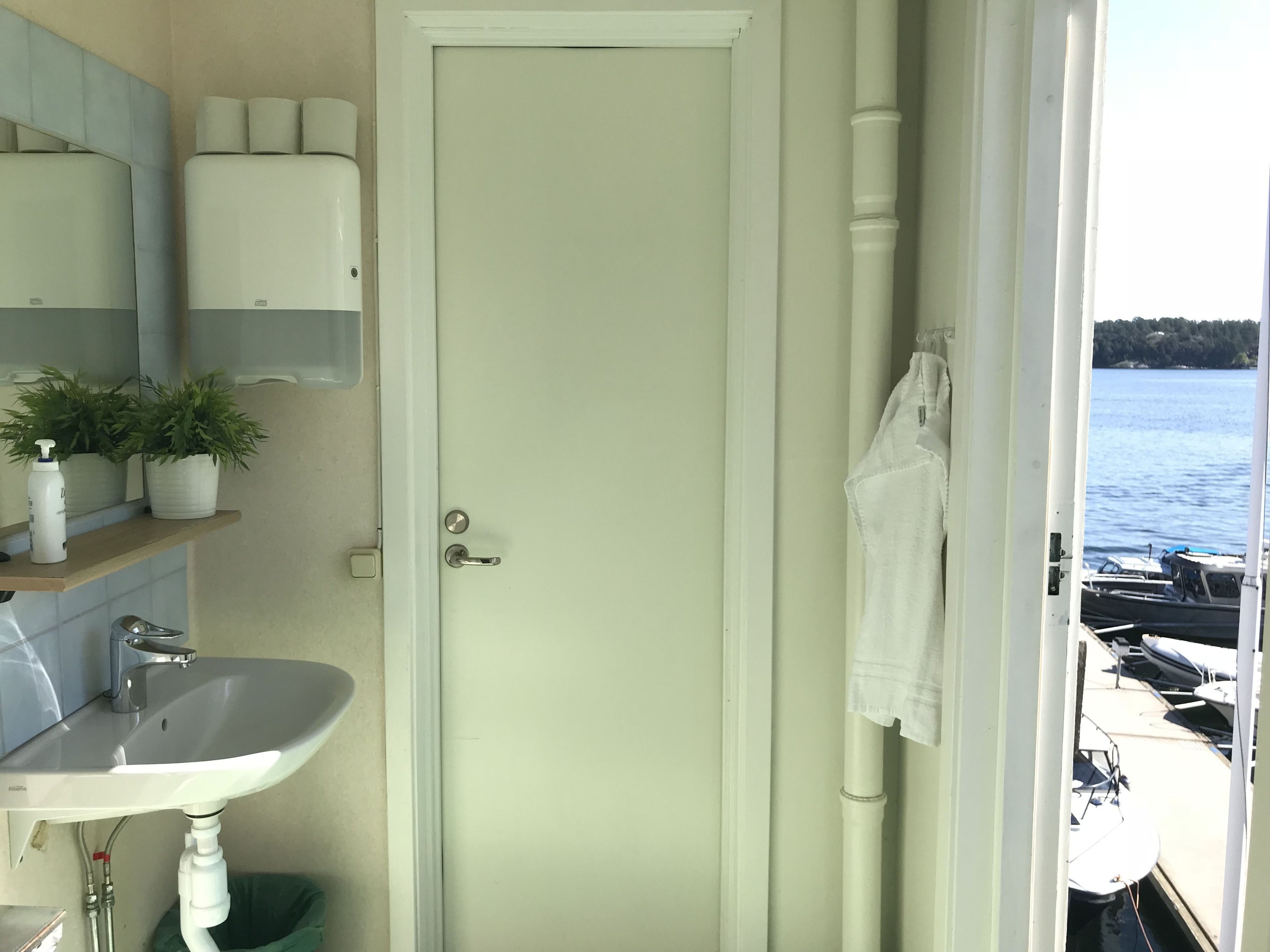 A bathroom with a sink, mirror, and potted plants.