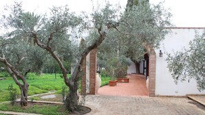 A courtyard with olive trees, a brick pathway, and a white building with an arched entrance. - Villa Delle Ninfee (Mazara del Vallo)