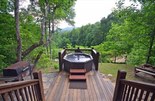 Soaring Eagle 1 Bedroom Cabin by Redawning