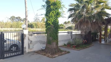 Área residencial murada com uma palmeira, plantas em vasos e um carro estacionado.