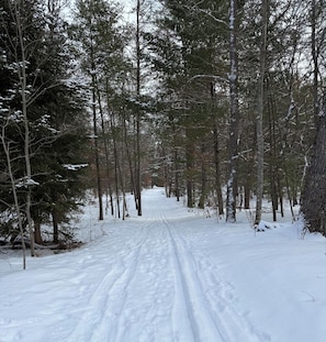 Un sentier forestier recouvert de neige.